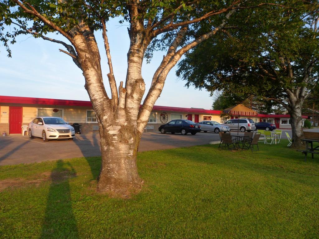 The Silver Birch Motel Goderich Eksteriør billede